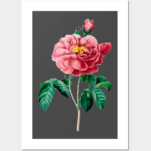 Vintage Flower Graphic Wall Art by Hudson|Farley 